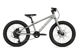 Kids Bike Flightline 20+ DS Grey Haro Bikes