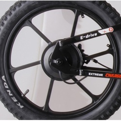 Rear Wheel  for Charged 20" Balance E Bike