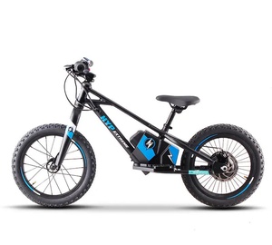 Throttle 16" Balance E Bike Charged