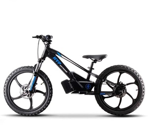 Throttle 20" Balance E Bike Charged