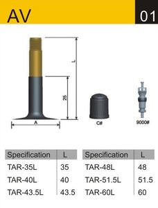 Black Cat Bike Tube Schrader AV 20 x 1.95/2.125