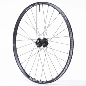 Front Wheel Enduro 29 inch E*thirteen LG1 Plus