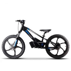 Rear Wheel 20" Balance E Bike Charged