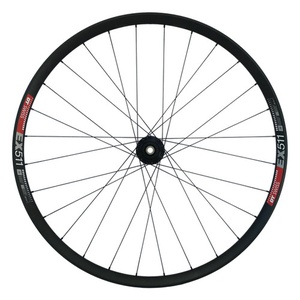 Front Wheel DT Swiss EX511 350 hub 29 inch