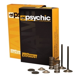 Inlet Valve Kit Yamaha