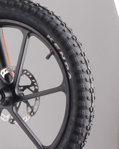 20" Tire for Charged 500w E-Balance Bike