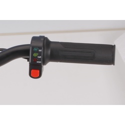 Throttle 16" Balance E Bike Charged