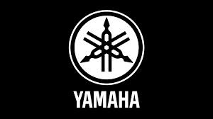 Genuine Yamaha Circlip