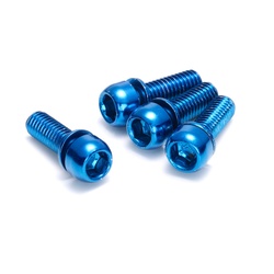Brake Disc Brake Bolt Set 4 pcs. Bike M6  18m