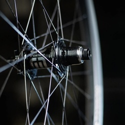 Ethirteen XD Freehub Kit 3 pawl 6 degree