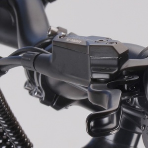 Charged 20 inch Rear Brake Unit