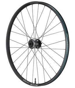 Race AL e*spec Front Wheel Enduro 29" e*thirteen