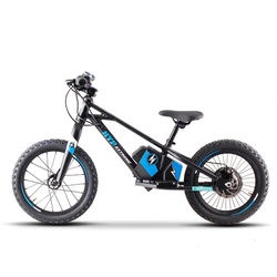 Controller  for 16" Balance E Bike Charged