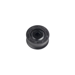 LG1 Gen 2 Lower Roller Kit e*thirteen
