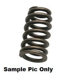 Exhaust Spring Psychic