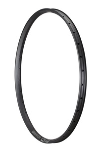 Race Alloy Rim Downhill 29"x30mm 32h e*thirteen