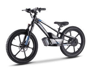 Charged E Balance Bike 20" 500w Blue