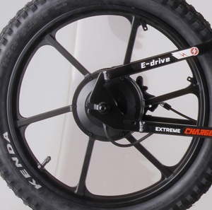 Rear Wheel  for Charged 20" Balance E Bike