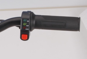 Throttle 16" Balance E Bike Charged